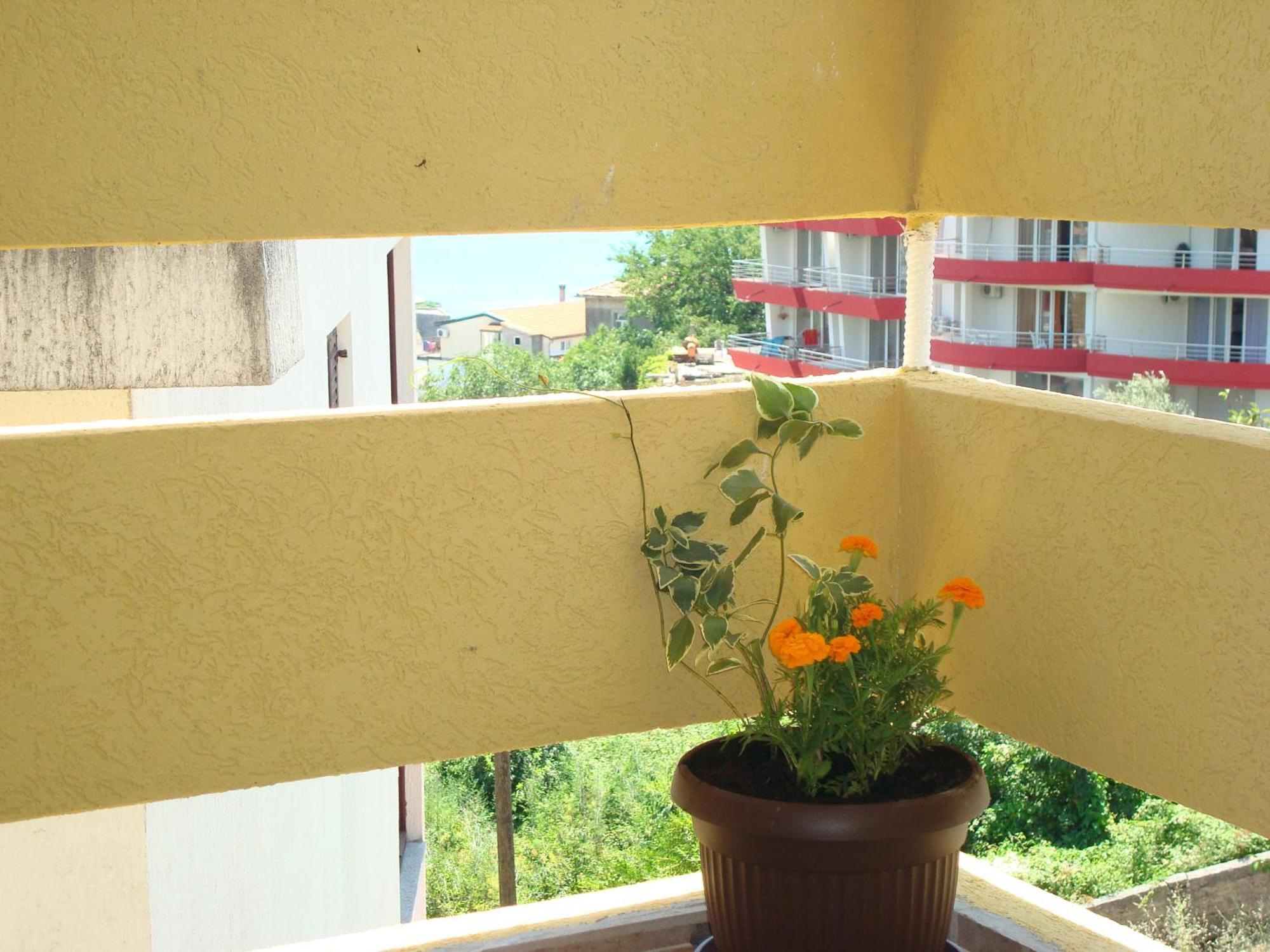 Apartments Cejovic Ülgün Dış mekan fotoğraf